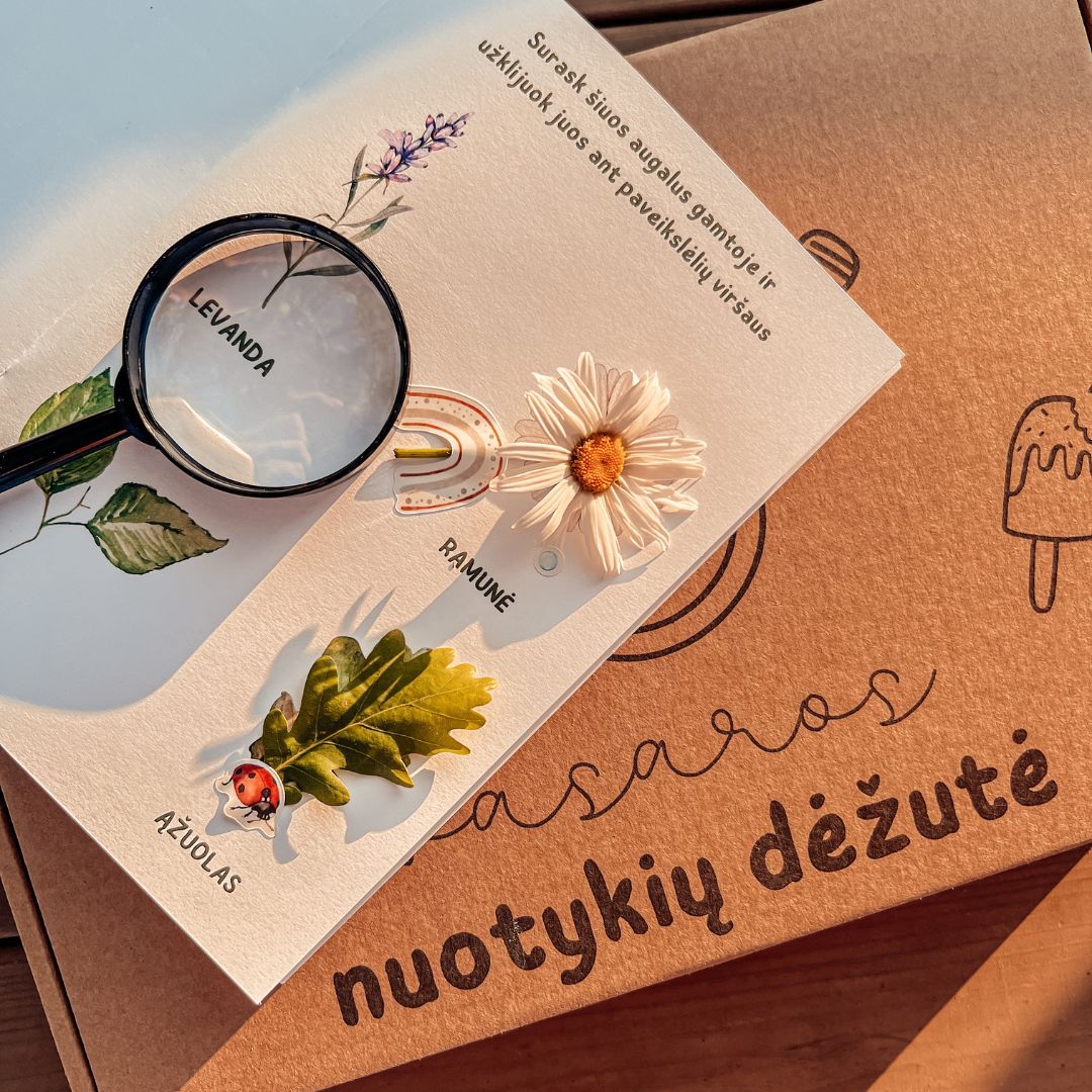 Vasaros nuotykių dėžutė + papildomi lipdukai - Image 9